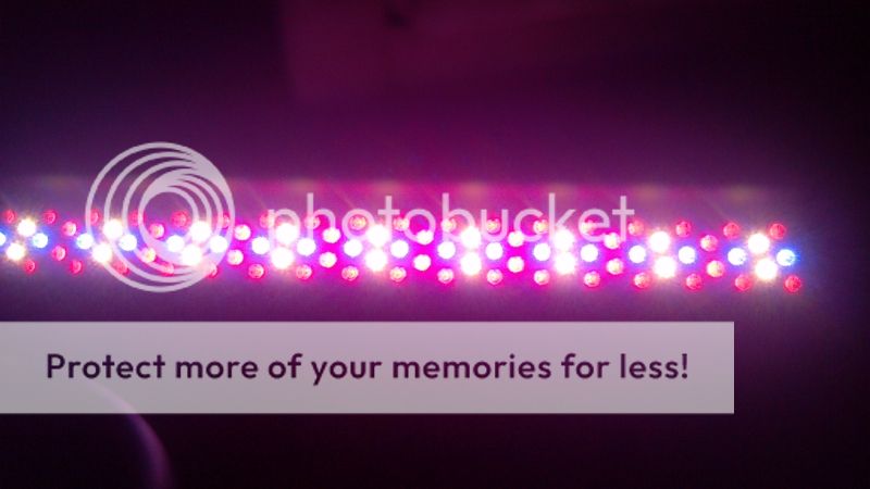 led_zps94bb4af0.jpg