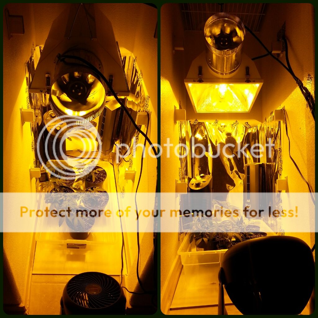 PicsArt_1376086720540.jpg