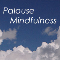 palousemindfulness.com