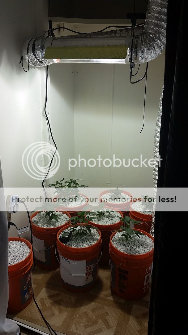 20151113_221603_zpsvh3dn4by.jpg