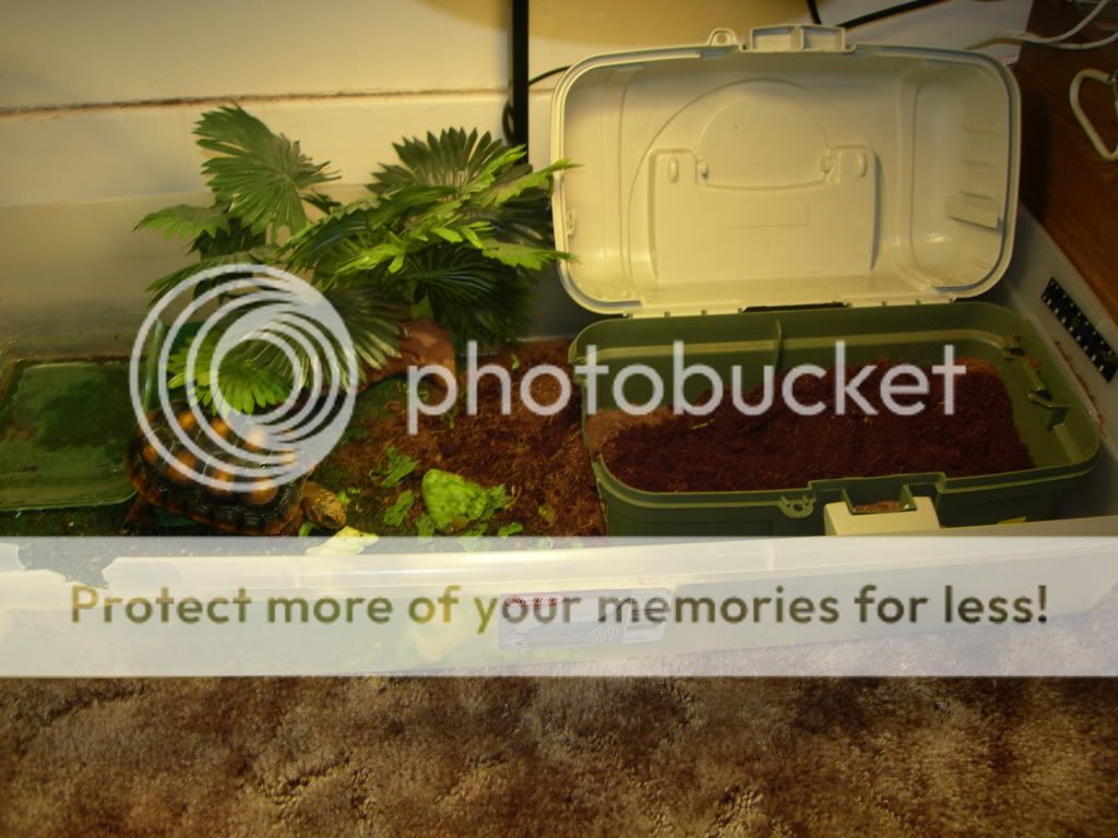DSCN8977.jpg