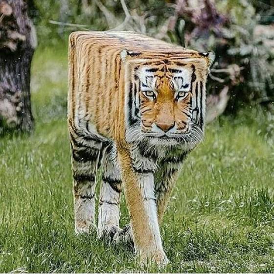 acid_picdump_83.jpg
