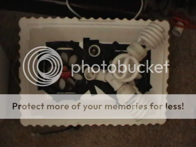 Picture007.jpg
