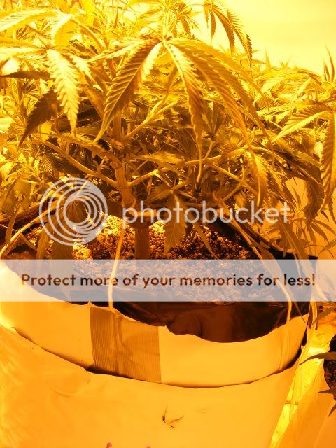 projects189.jpg