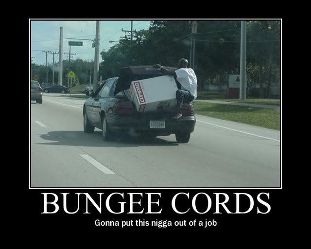 bungeecords1mi2.jpg