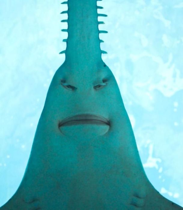 acid_picdump_01.jpg