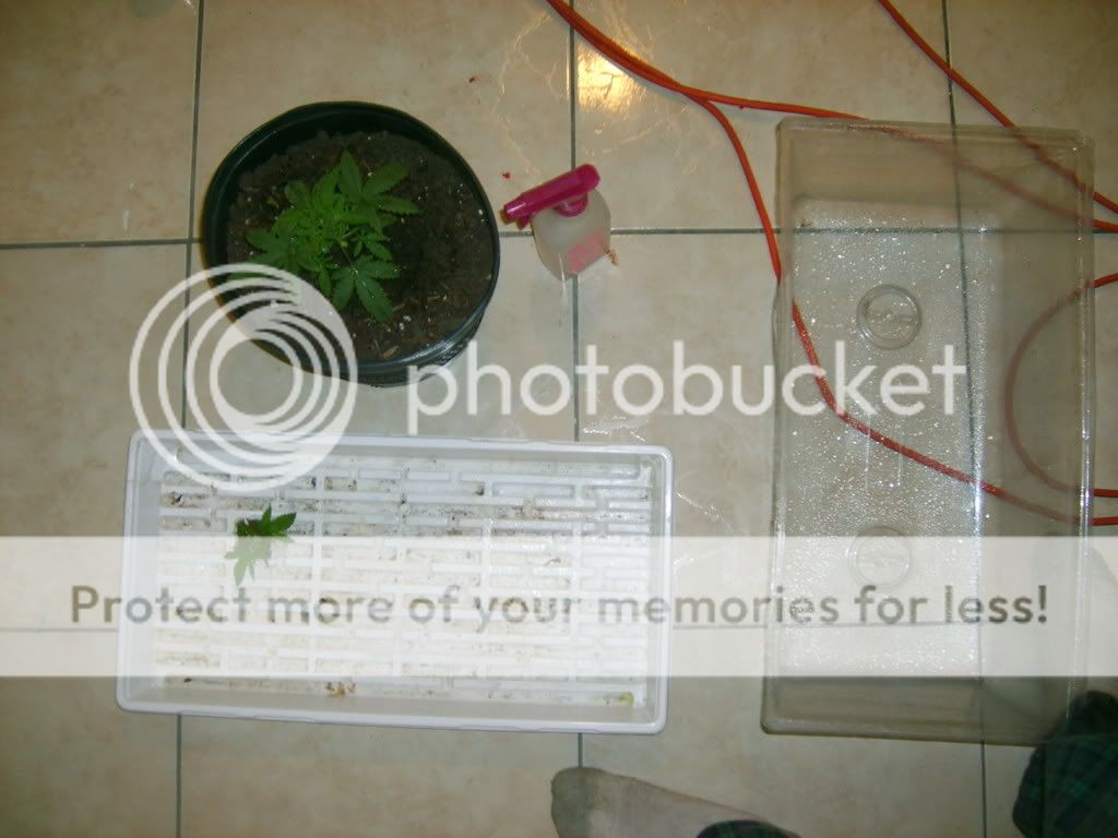 S5000082.jpg