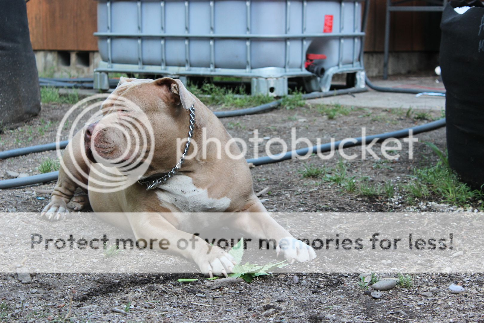 IMG_4764_zpspd8q3pe9.jpg