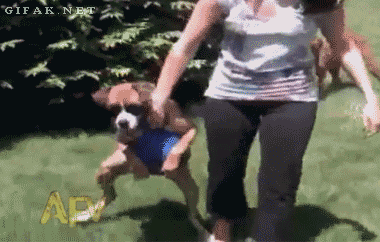 gifs_02.gif