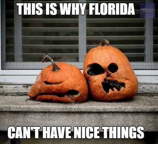 15 Downright Funny Memes You'll Only Get If You're From Florida