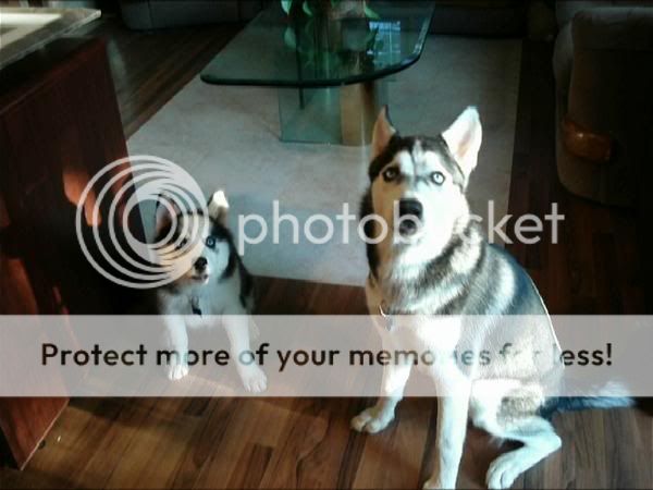 l_a2c44578388ac39d22fcac23b6644a8c.jpg
