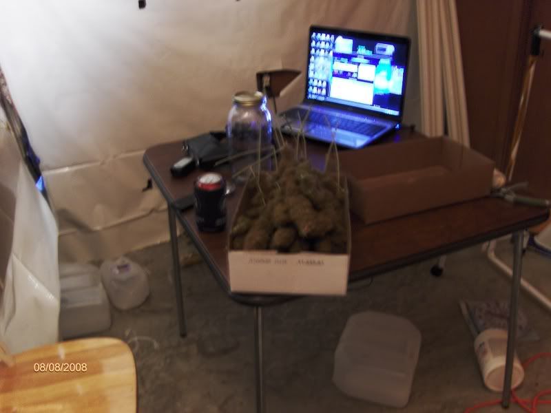 readytocure001.jpg