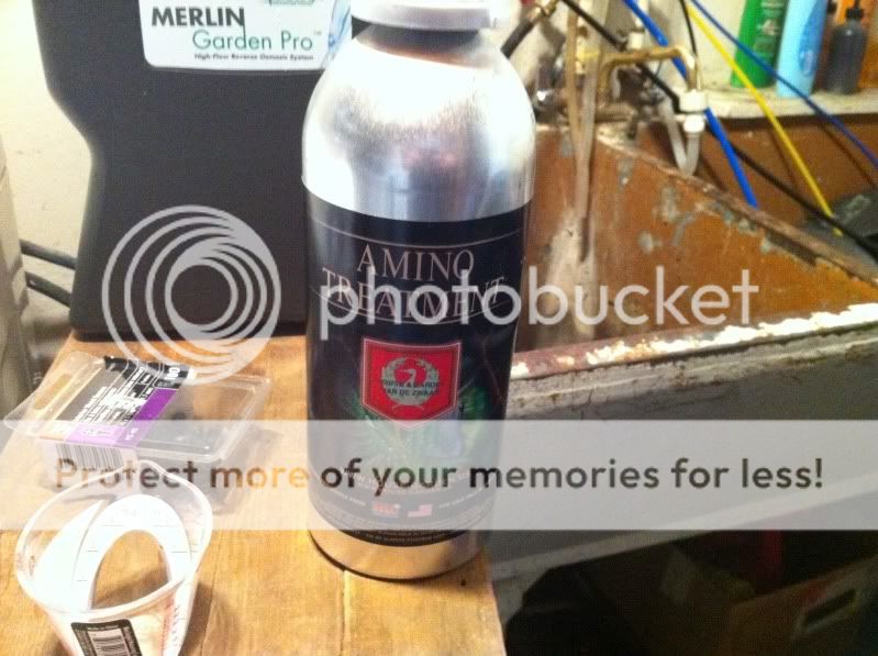 photo1-3.jpg