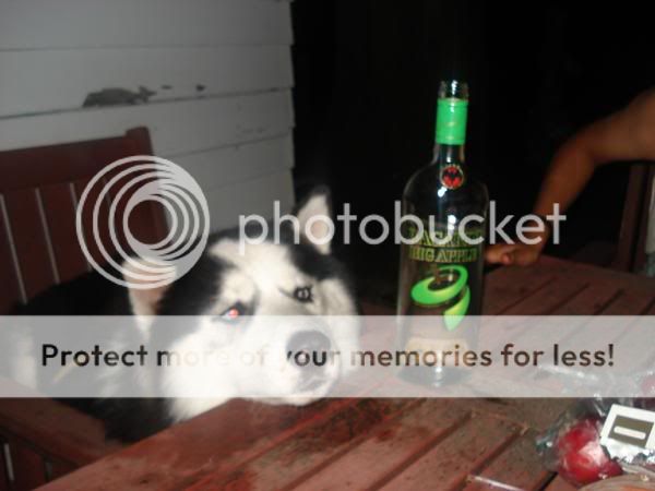 l_f37653d025a5308cdda7c4f71c3250fa.jpg