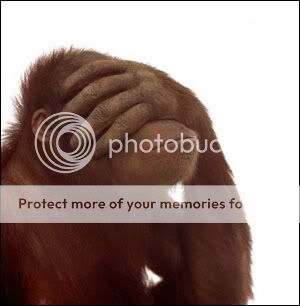 monkey-frustrated.jpg