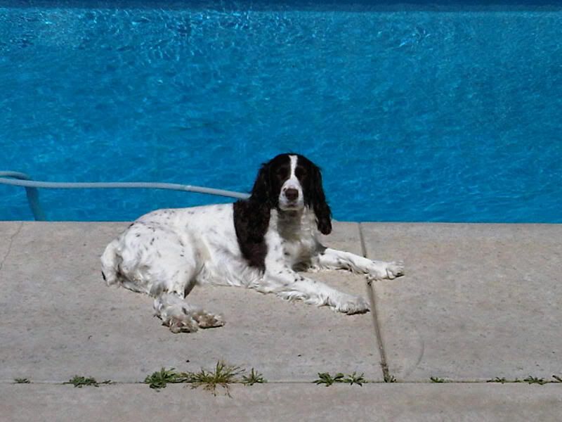IMG00015-20110416-13581.jpg