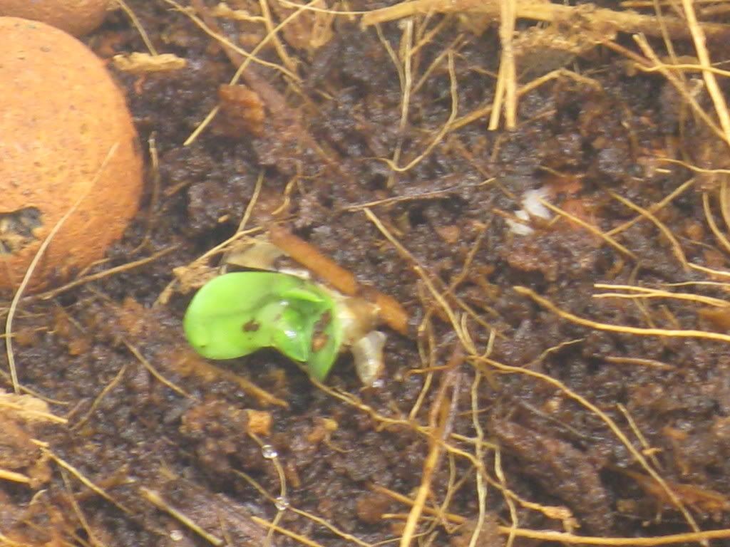 IMG_0513.jpg