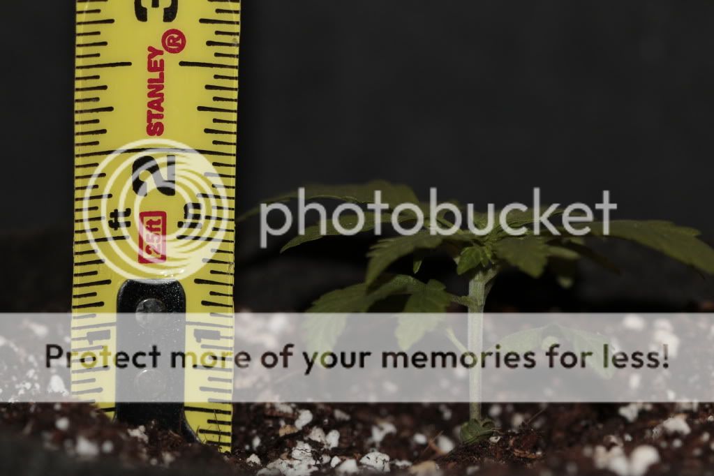 efa87923.jpg