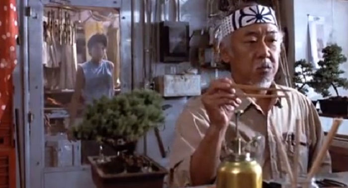 03-karate-kid-mr-miyagi.jpg