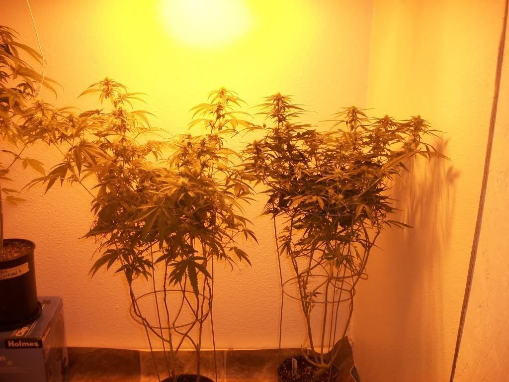 10-03-11005.jpg