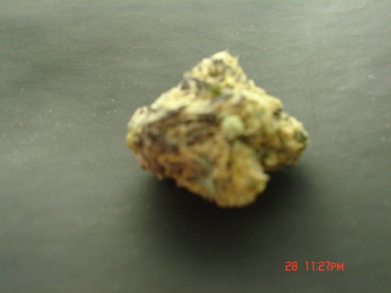 Picture035-2.jpg