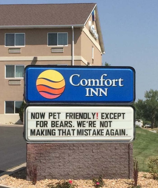 acid_picdump_02.jpg