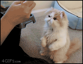 gifs_04.gif