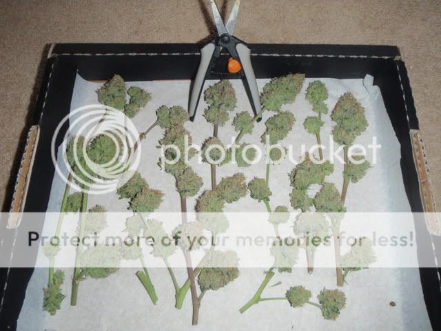 PB021286.jpg