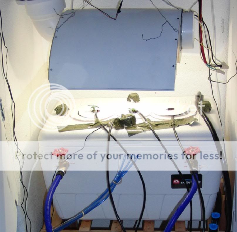 P3_2.jpg