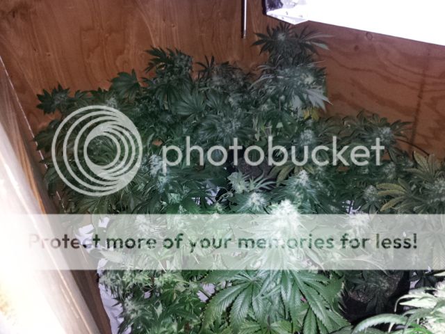 20121228_093100.jpg