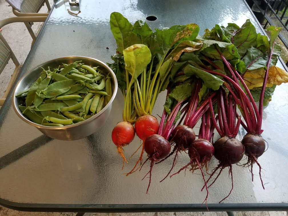 beetspeas7320.jpg