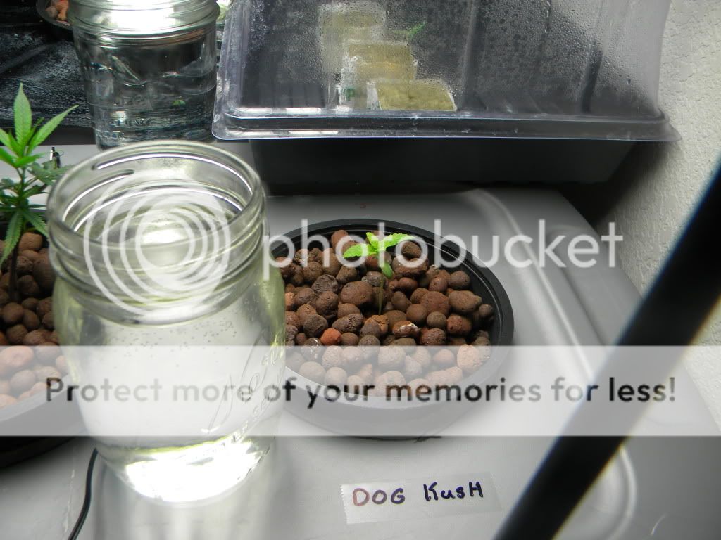 DSCN0847.jpg