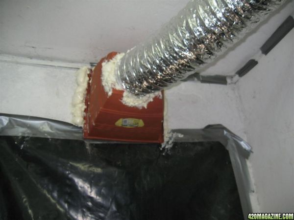 BB_CC_Agst_29_046.jpg