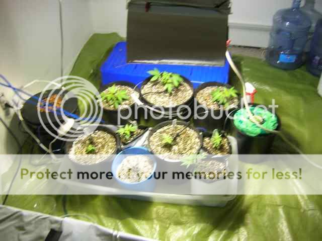 DSCN1055.jpg