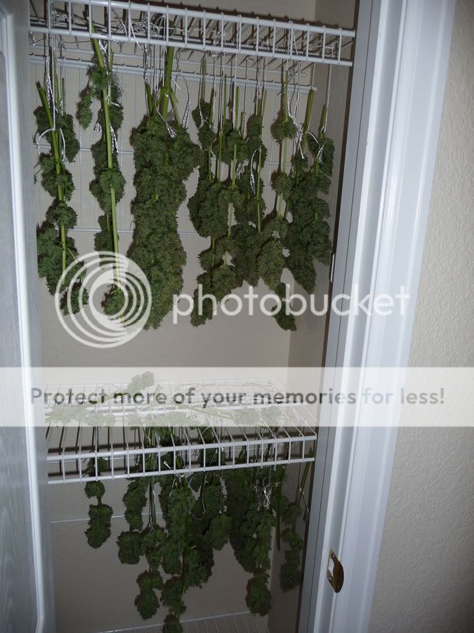 Closet-All.jpg