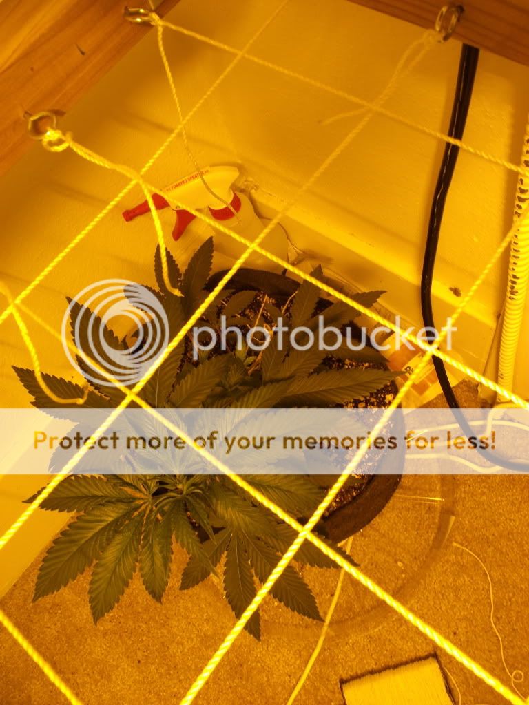 DSCF3059.jpg