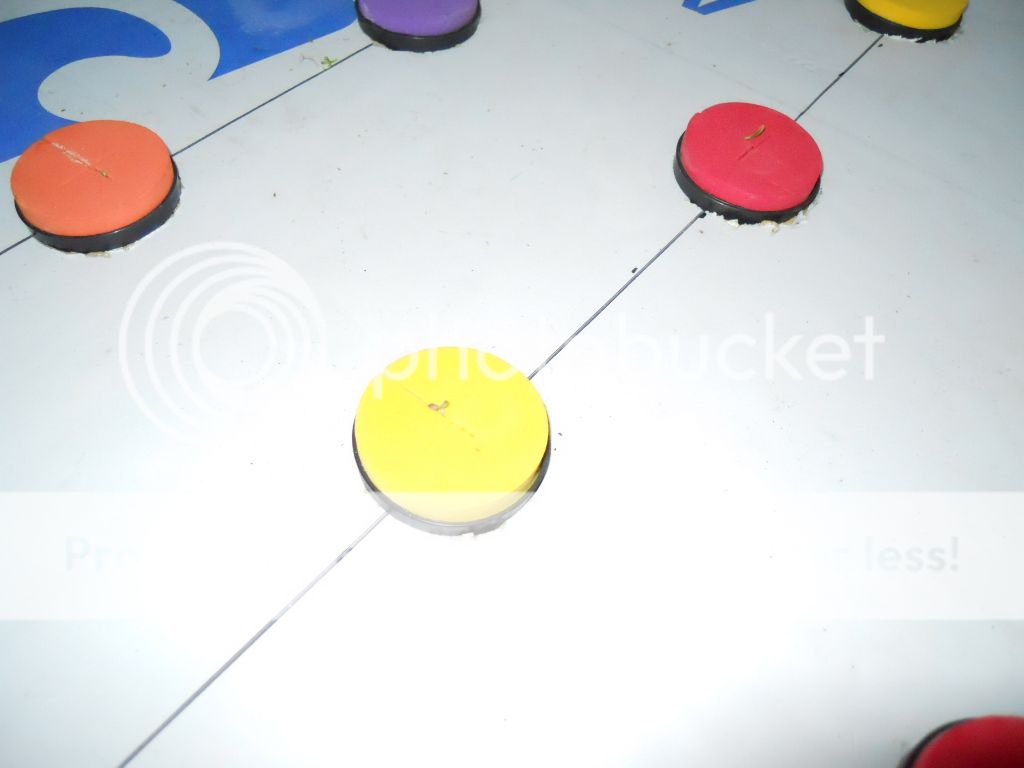 DSCN0055_zpsb5ad1e28.jpg