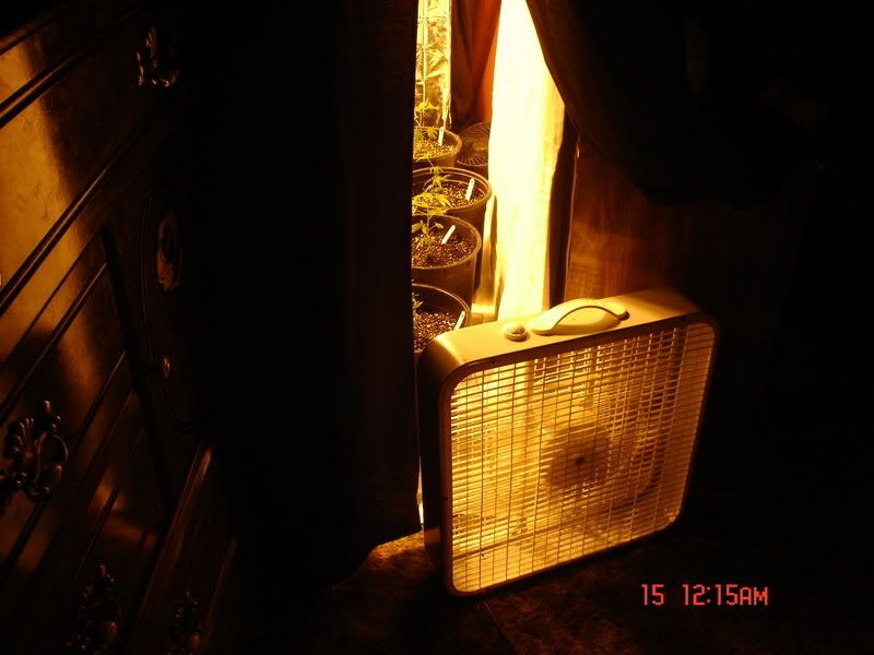Picture013-1.jpg