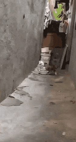 1668697030_12.gif