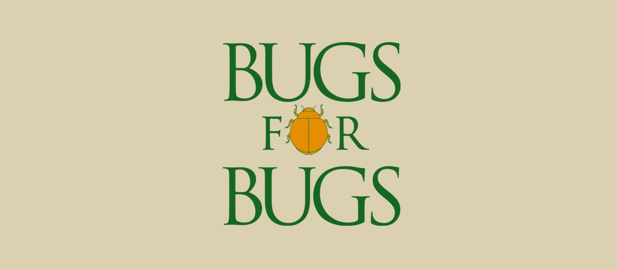 bugsforbugs.com.au