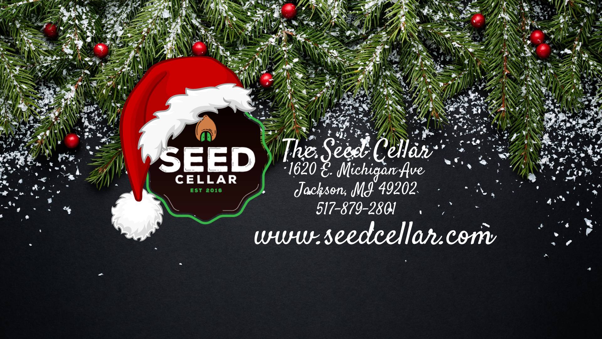 www.seedcellar.com